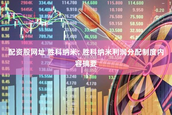 配资股网址 胜科纳米: 胜科纳米利润分配制度内容摘要