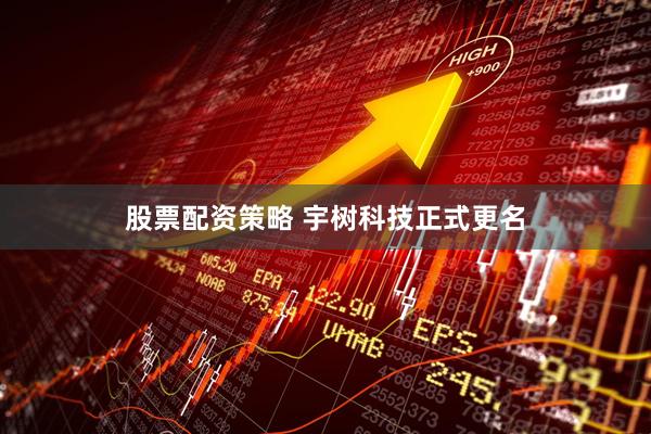 股票配资策略 宇树科技正式更名