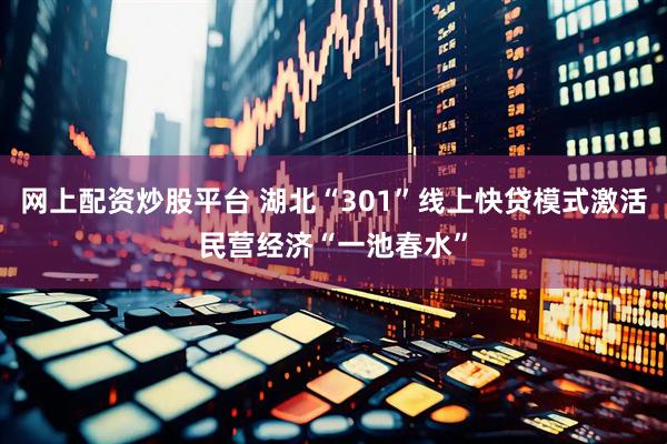 网上配资炒股平台 湖北“301”线上快贷模式激活民营经济“一池春水”