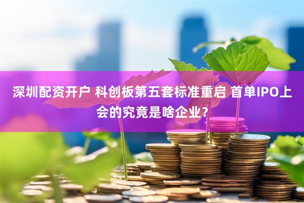 深圳配资开户 科创板第五套标准重启 首单IPO上会的究竟是啥企业？